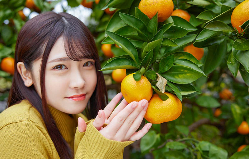 皆瀬あかり(皆濑明里)最新作品MOGI-017剧情介绍及封面预览