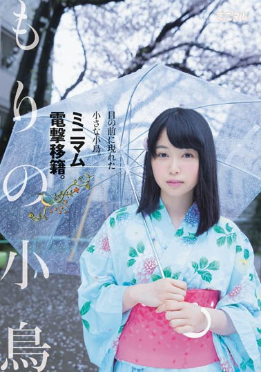 もりの小鸟(森野小鸟)最新作品FANH-102剧情介绍及封面预览
