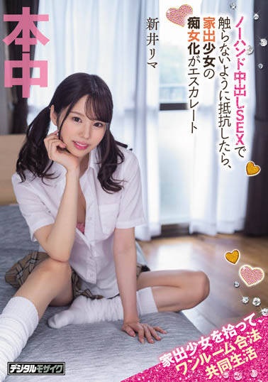 新井リマ（新井里真）作品号HMN-273剧情介绍及封面