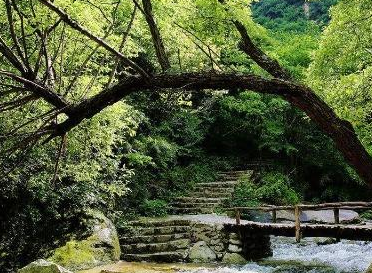 陕西被称为“三秦大地”,为什么是三秦呢? | 杂谈社