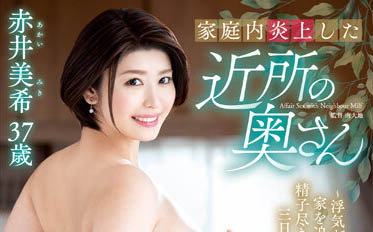 「家庭内起火附近的妻子」系列作品号剧情介绍及封面