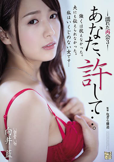 「你，原谅我吧…。」系列作品号剧情介绍及封面