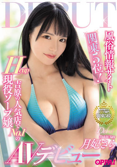 超人气风俗娘《月妃纱罗》精选作品号剧情介绍及封面