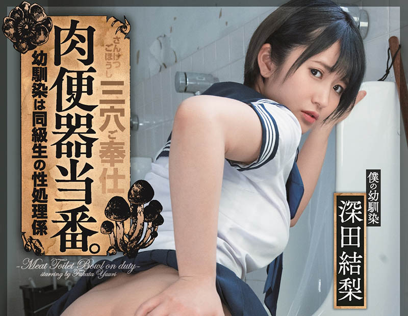 暗黑战斗姬《深田结梨》精选作品号剧情介绍及封面