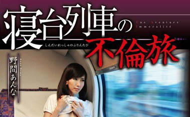 S级熟女《野间杏奈》精选作品号剧情介绍及封面