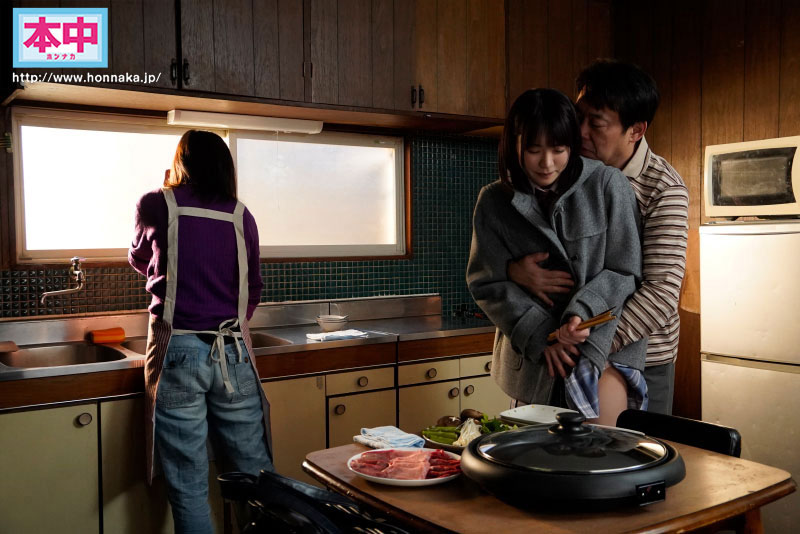 东条なつ(东条夏)作品号HMN-416剧情介绍及封面