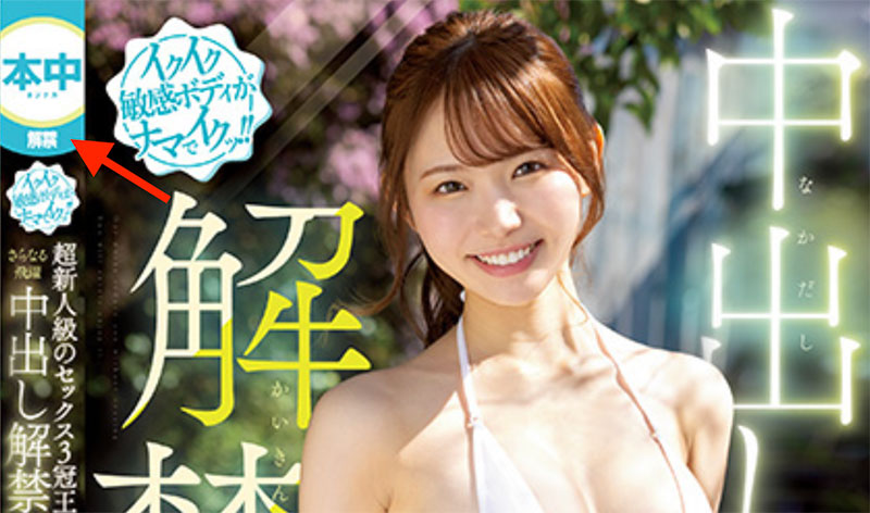 响莲(Hibiki-Ren)作品号HMN-455剧情介绍及封面