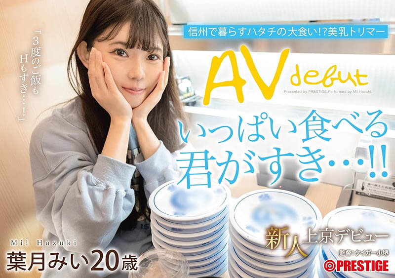 叶月みい(叶月美衣)作品号FIT-002剧情介绍及封面