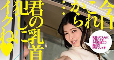 小只马萝莉《豊中艾莉丝》精选作品号推荐介绍及封面