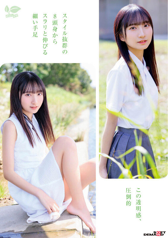 皆川らん(皆川兰)作品号SDAB-327介绍及封面