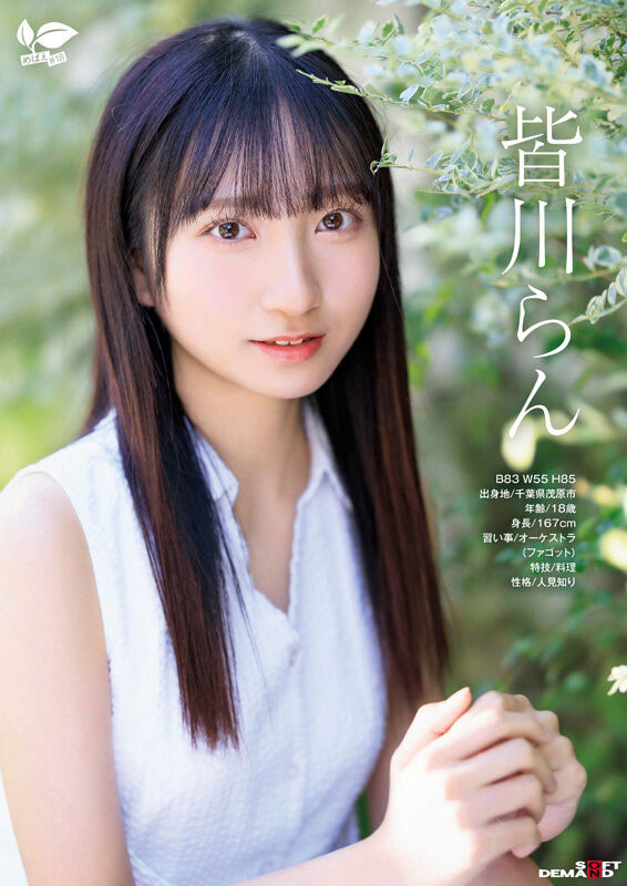 皆川らん(皆川兰)作品号SDAB-327介绍及封面