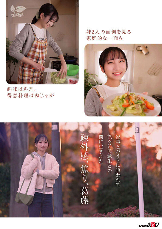 皆川らん(皆川兰)作品号SDAB-327介绍及封面