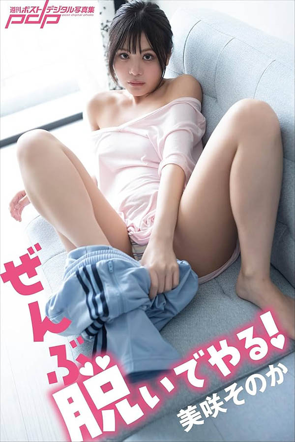 美咲そのか(美咲园花)作品号FNS-199介绍及封面